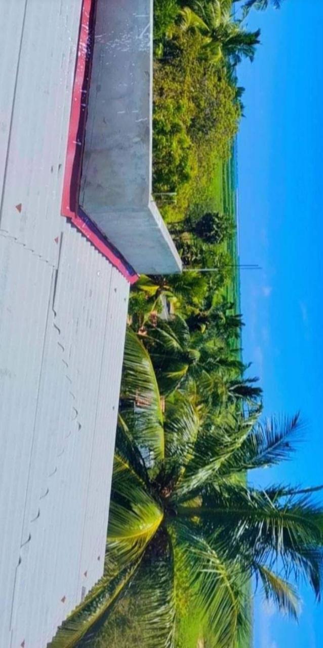 המבנטוטה Bundala Swan Cottages מראה חיצוני תמונה